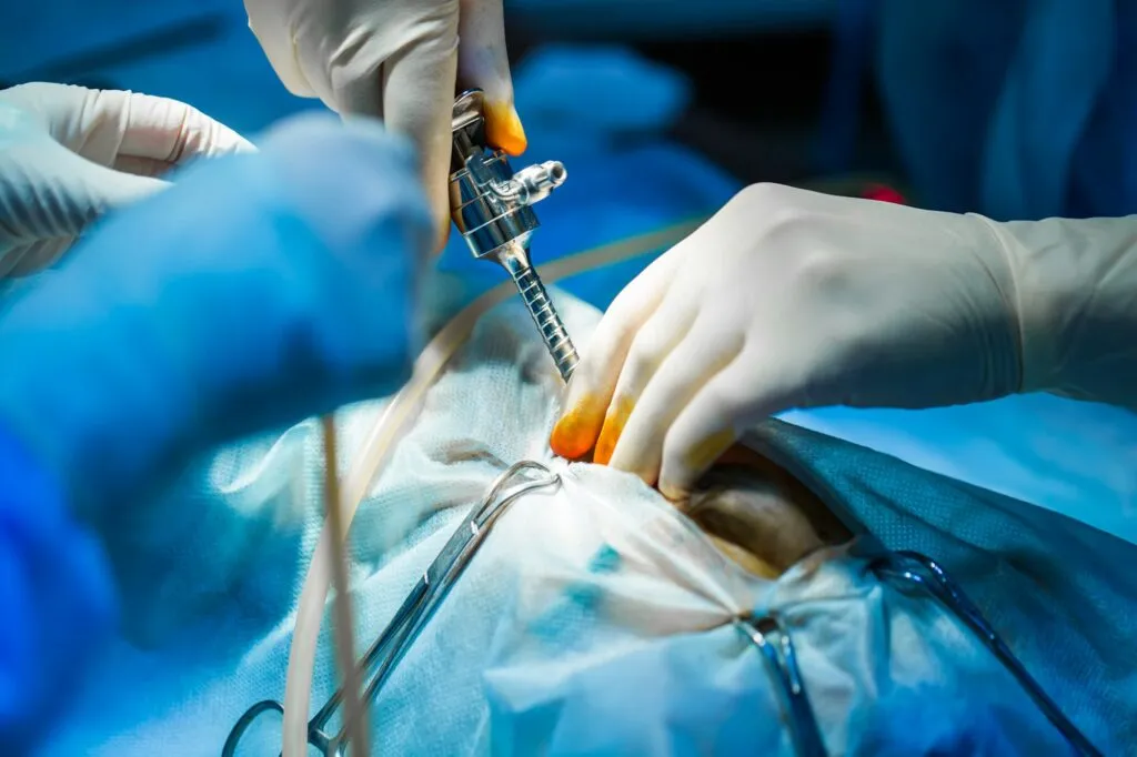 Veterinarian doctor in operation room for laparoscopic surgical take with art lighting.
